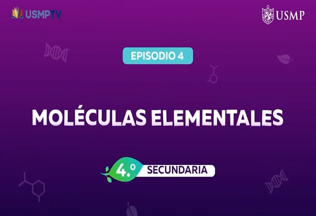 Capítulo N° 4 - Moléculas elementales